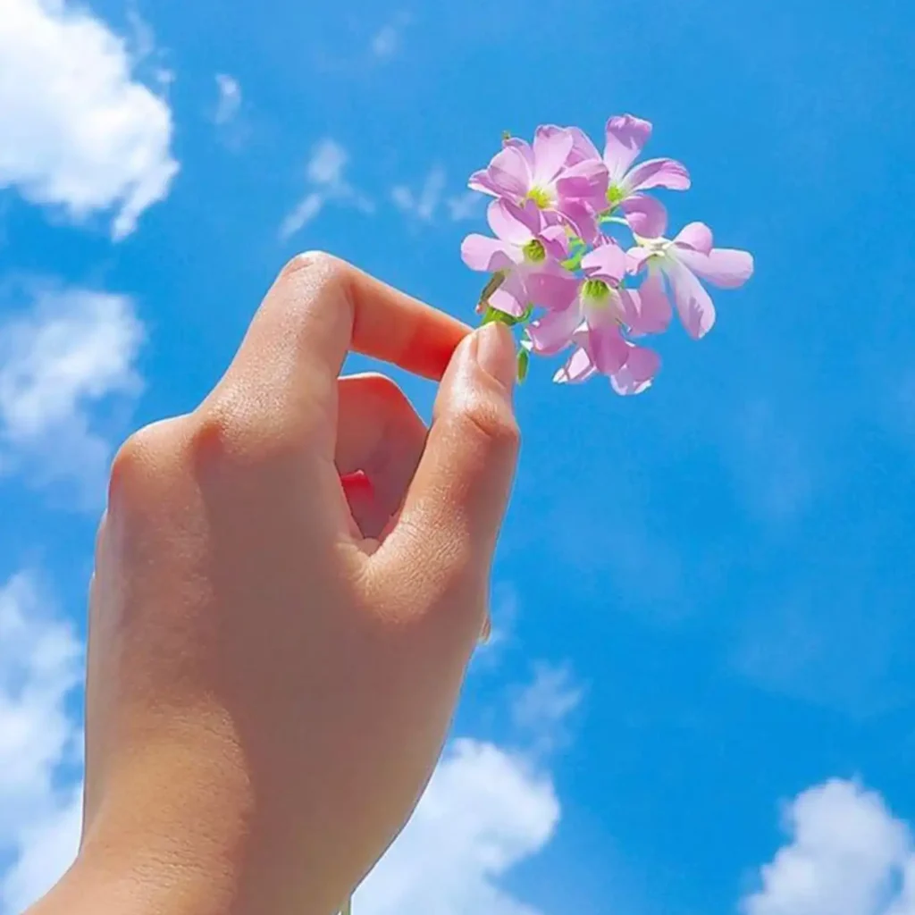Girls-DP-with-Flower-in-The-Sky-